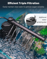 Pawfly 5 Gallon Fish Tank Ultra Clear Rimless Glass Aquarium Kit with Extendable LED Light Internal Filter Magnetic Brush & Thermometer Stickers Rectangular Glass Fish Tank Kit for Betta Shrimp Plants