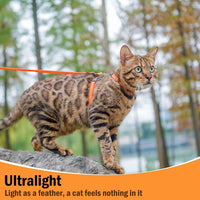 PUPTECK Adjustable Cat Harness and Leash Set Escape Proof Kitten - Medium / Orange - image 4