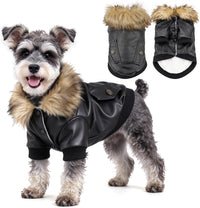 LESYPET Dog Leather Jacket for Small Dogs - X-Large / Black