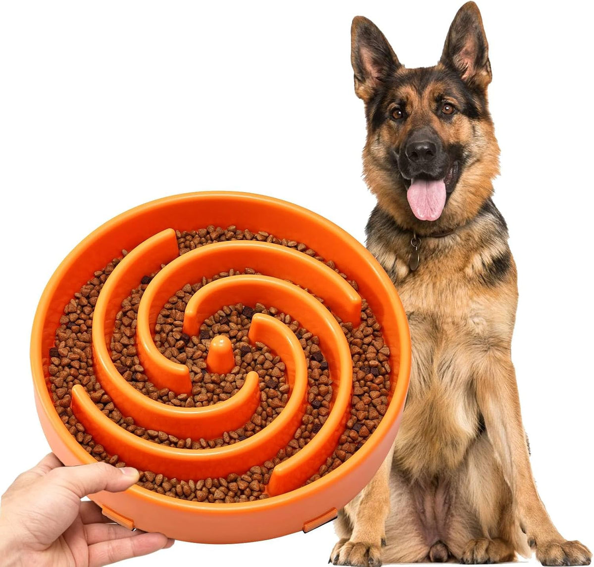 JASGOOD Slow Feeder Dogs Bowl for Large Medium Dogs - Large / Q-orange