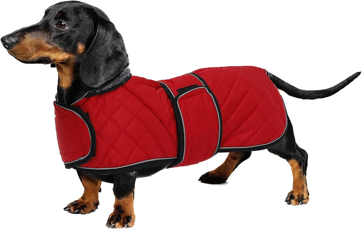 Quilted waterproof windproof dachshund coat with fleece lining and reflective piping