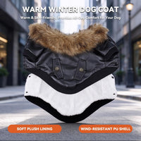 LESYPET Dog Leather Jacket for Small Dogs - Large / Black - image 2