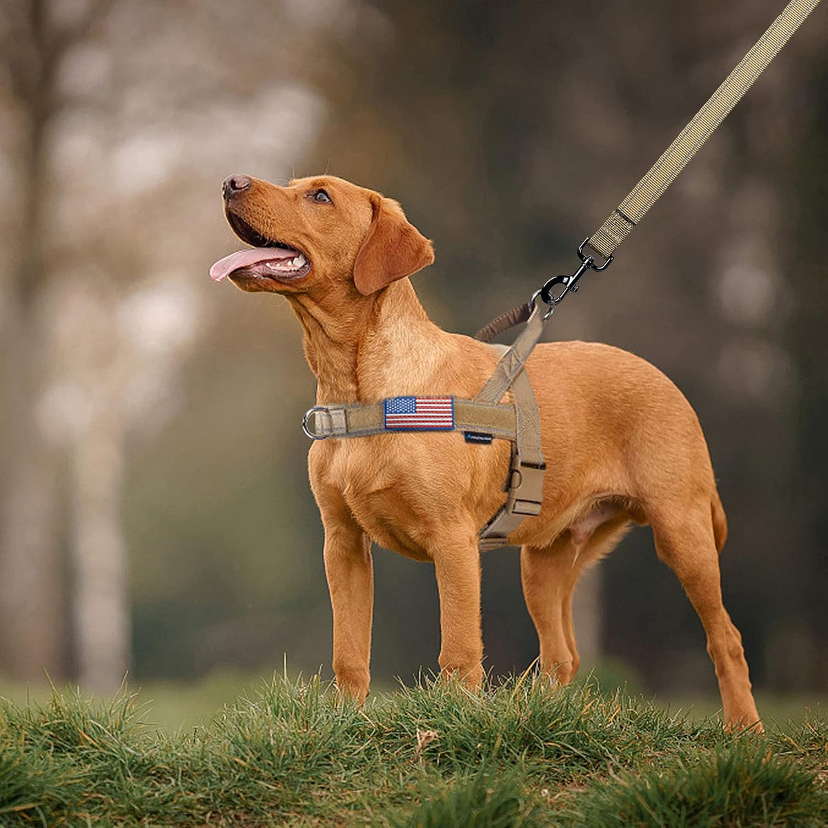 Annchwool No Pull Dog Harness with Soft Padded Handle - M / Brown - image 3