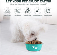 Stainless Steel Dog Bowls - Green / 3.6 Cups/29 OZ - image 3