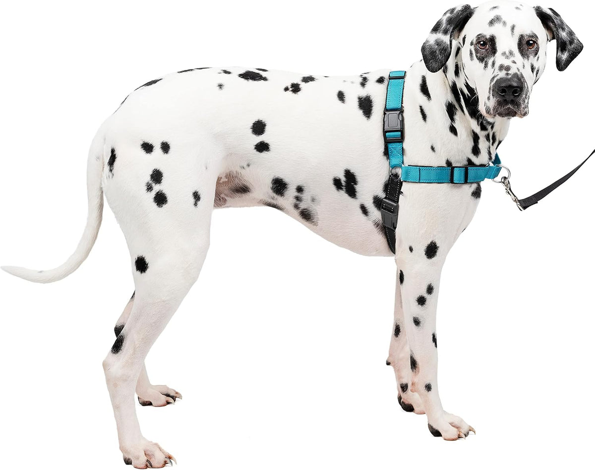 PetSafe Easy Walk Deluxe Dog Harness, No Pull Dog Harness - Large / Ocean Blue