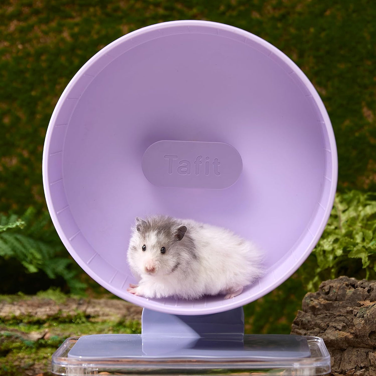 Super‑Silent Hamster Exercise Wheel - 8.7inch / Taro Purple - image 2