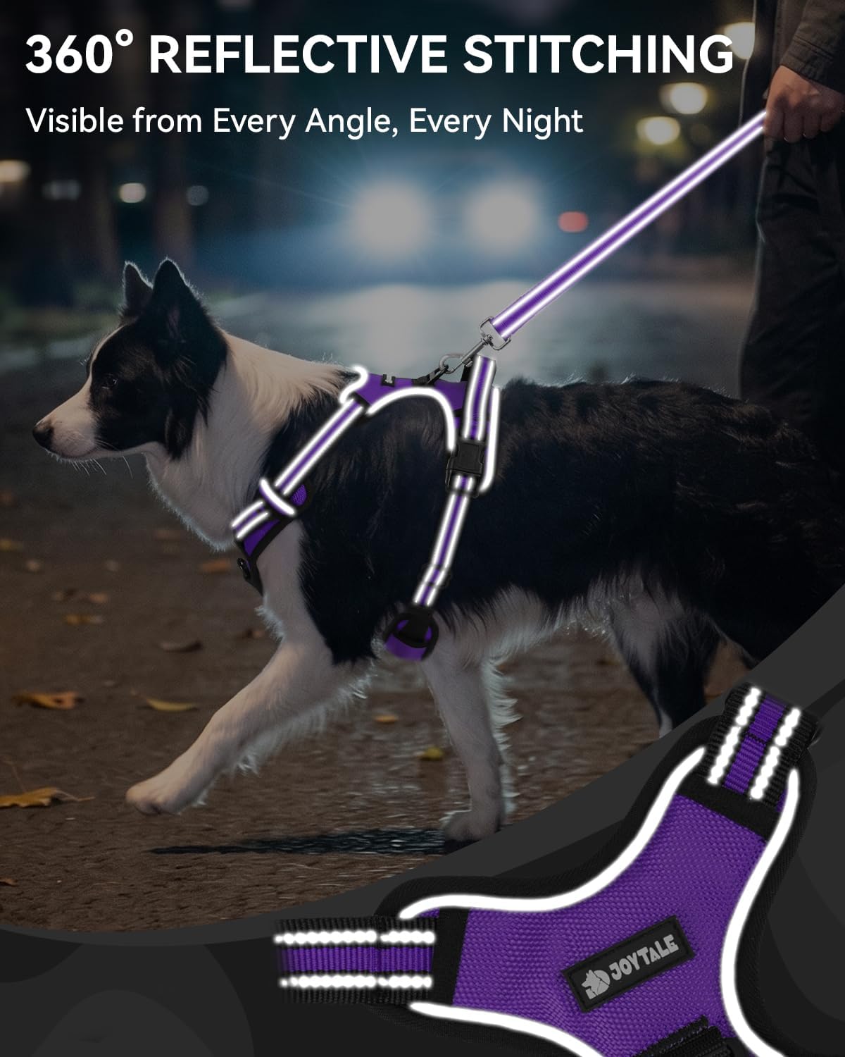 Joytale No Pull Dog Harness & Seat Belt, Easy On 3-Buckle, L - Purple / Medium - image 3