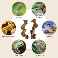 Reptile Climbing Decor 1.8-2.2" Thick Wood Branches Snake Habitat - 11.8 inches (2 Pack) - image 4