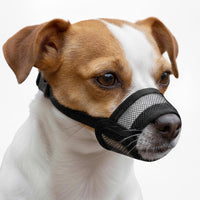 Dog Muzzle Medium Sized Dogs - Small ( 5.1” - 6.3” )