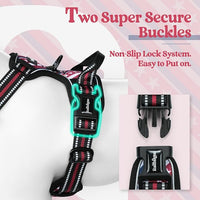 rabbitgoo Dog Harness No Pull with 2 Leash Clips, Adjustable Soft Padded, Reflective Oxford No Choke Pet Vest with Easy Control Handle for Large Dogs, Red Stripe, L