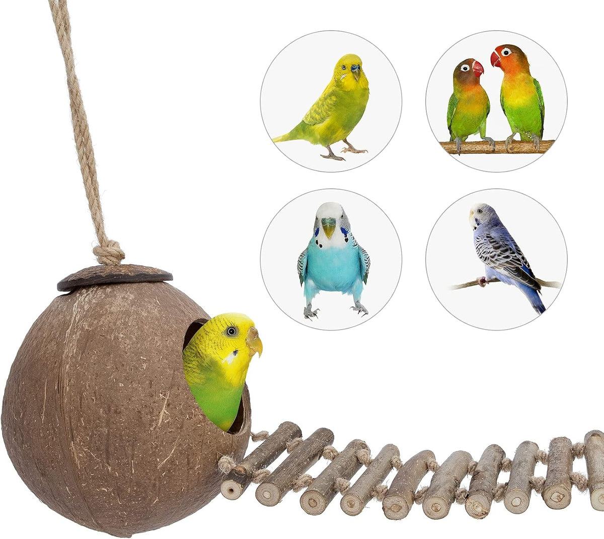 Niteangel Natural Coconut Hamster Hideaway with Ladder - House with Ladder / Smooth Surface - image 2