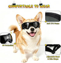 Dog Goggles Small Breed, Dog Sunglasses UV Protection Puppy Eyewear for Small Pet Outdoor Riding - Medium / Black - image 3