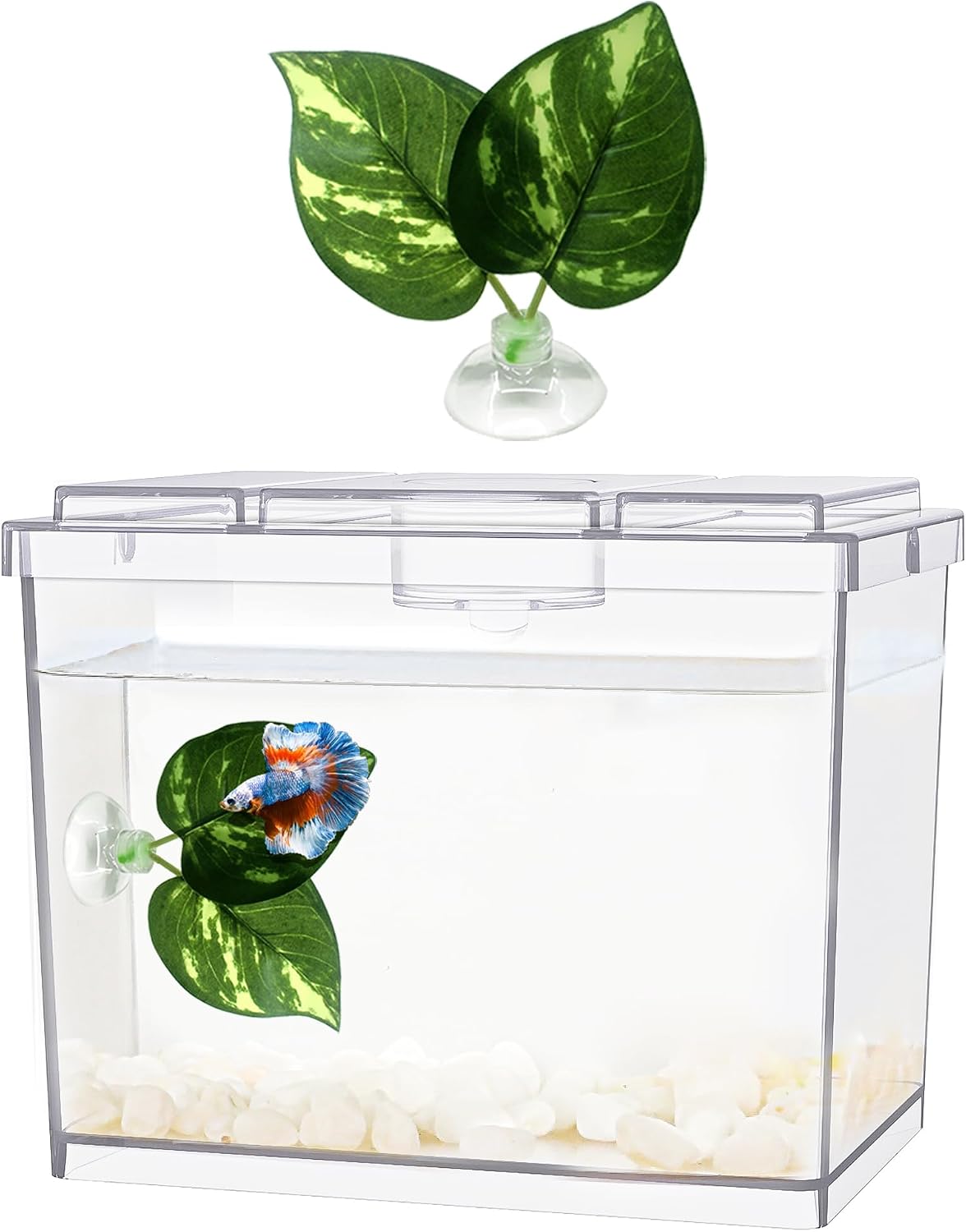 MoonOrange Mini Betta Fish Tank Kit with LED Light Base - Mini Tank 01