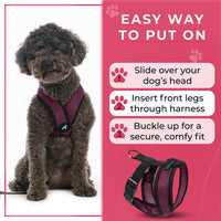 Gooby Comfort X Head-in Dog Harness, Choke-Free - Large Chest (17-22.5") / Purple - image 4
