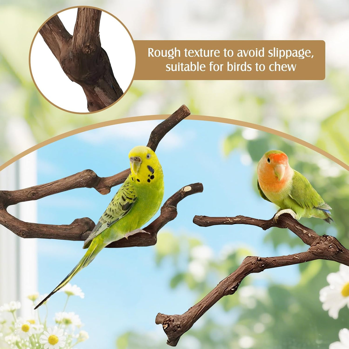 PINVNBY 3 Sizes Natural Parrot Perch Grape Wood Bird Stand Pole - 7.9in - image 3