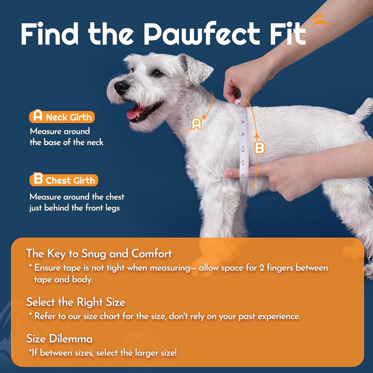 Eagloo Small Dog Harness and Leash Set - L(Chest:18.2"-20.5") / Blue - image 2