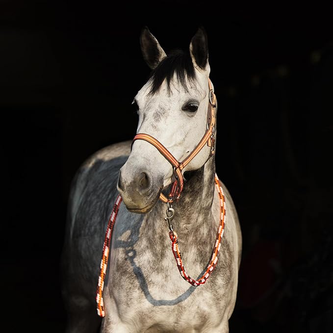 HORZE Adepto Adjustable Horse Halter | Soft, Durable Polyester - Coral Gold - Horse