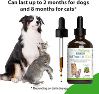 Pet Wellbeing BM Tone-Up Gold for Dogs & Cats - Supports Healthy Digestive Function, Solid Stools, Normal Bowel Movements, Bayberry - Veterinarian-Formulated Herbal Supplement 4 oz (118 ml)
