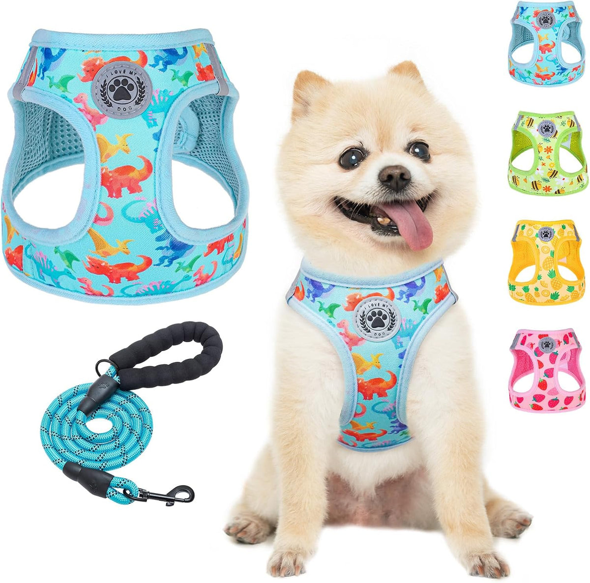 Small Dog Harness and Leash Set, No Pull Puppy Pet Vest, S - Medium(Chest Girth 16" - 18") / Dinosaurs Pattern