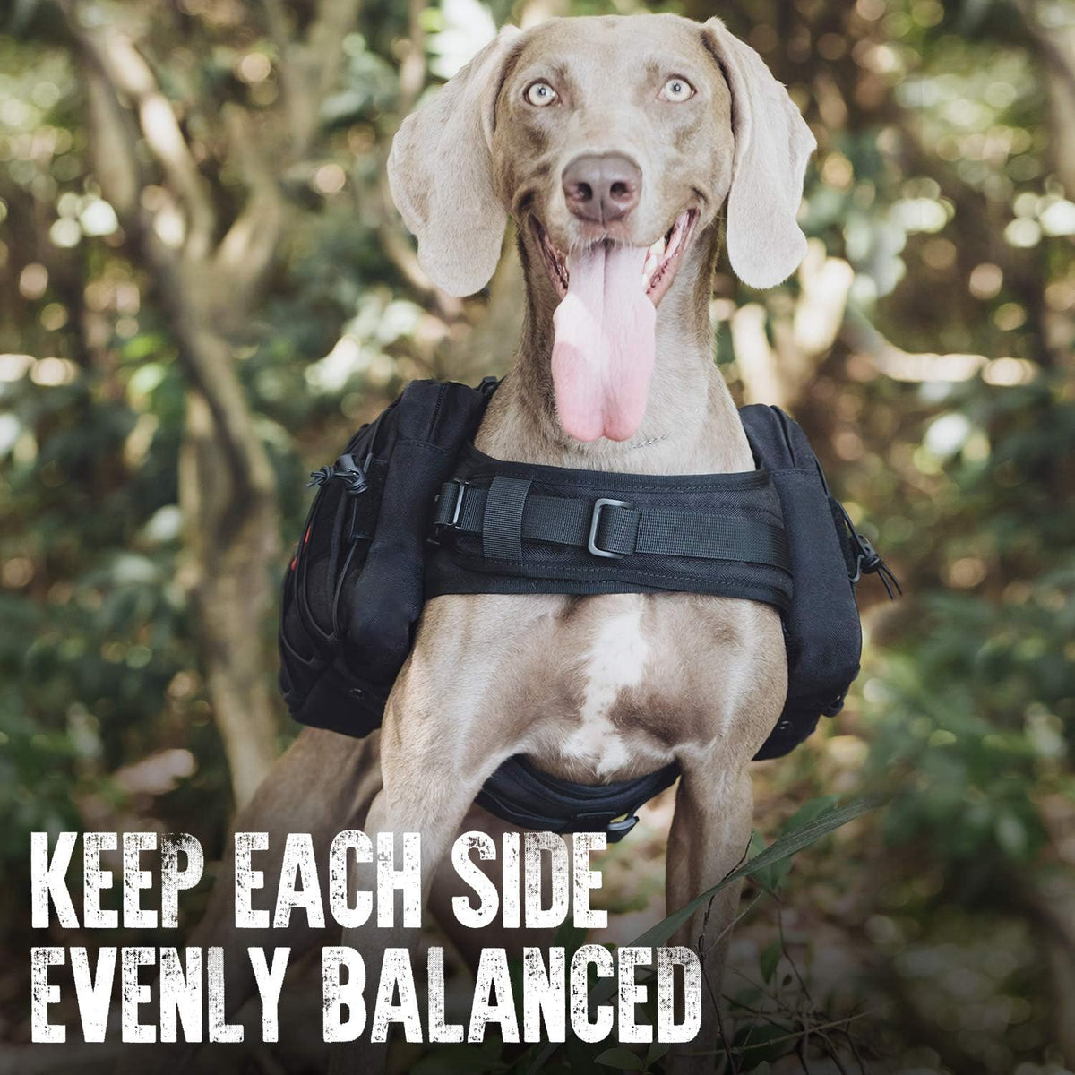 OneTigris Dog Backpack for Medium & Large Dogs - Black / Large - image 4
