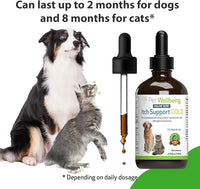 Pet Wellbeing Itch Support Gold for Dogs - Occasional Itching, Scratching, and Hot Spots, Environmental and Seasonal Allergies, Dong Quai - Veterinarian-Formulated Herbal Supplement (4 fl oz (118 ml))