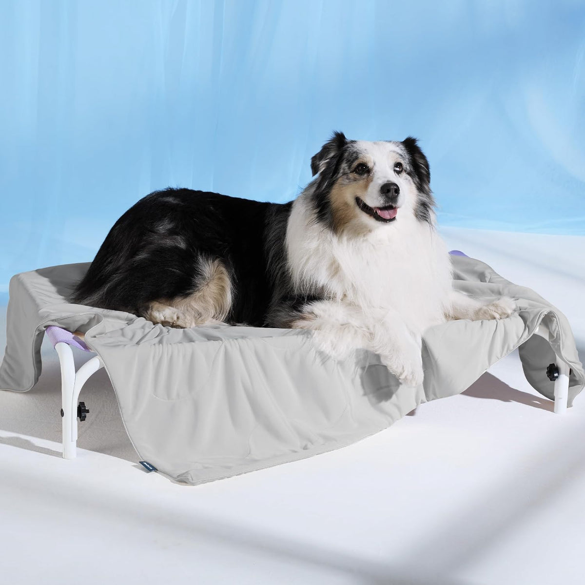 Bedsure Breathable Lightweight Cooling Blanket for Small Dogs - L(40x50") / Pearl Grey - image 2