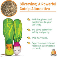 KittiVeggi 2-Pack Organic Silvervine Catnip Substitute Toys for Cats & Kittens | 100% All-Natural Wild Harvested Silvervine | 2 Refillable Vegetable Kicker Cat Toys