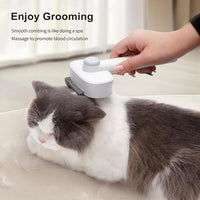 Deshedding Brush with Metal Comb for Detangling and Dematting Long, Flea Comb Cat Combs with Long & Short Stainless Steel Teeth, Matted Fur on Cats and Dogs (3 Pack)