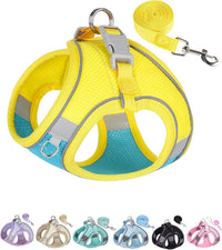 Solmoony Dog Harness, No Pull, Mesh for Small Medium Dogs - Blue Yellow / S
