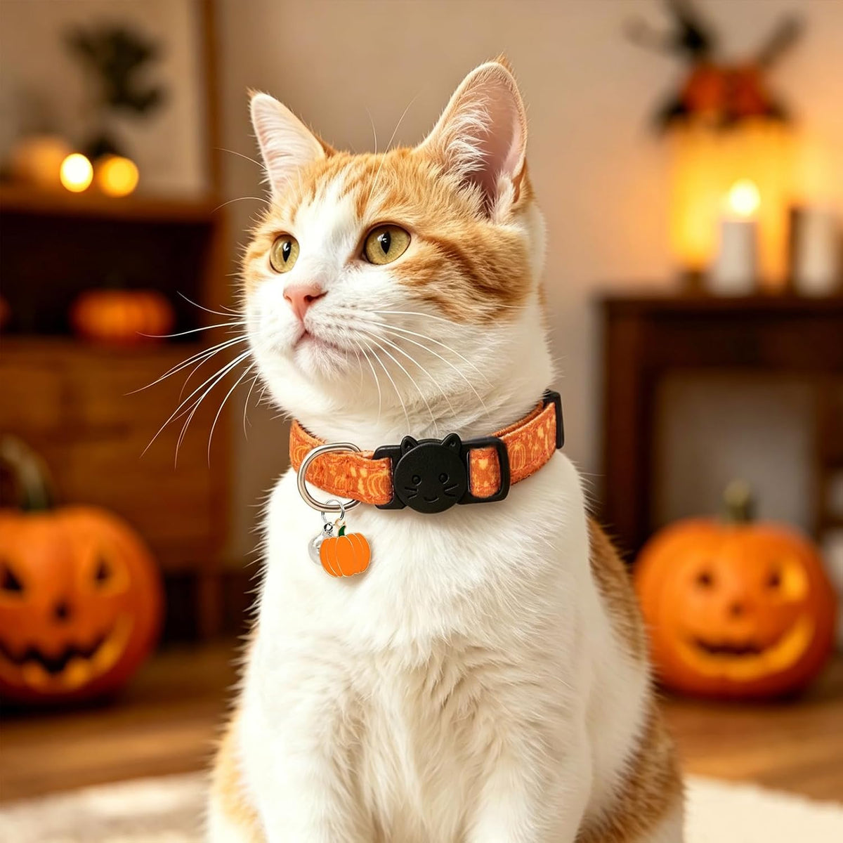 Halloween Cat Collar, Cotton 2 Pack Cat Collar with Bells - Fall / 7-11'' - image 2