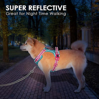 PHOEPET No Pull Dog Harness, Unique Colors Reflective Adjustable Dog Vest, with Soft Training Handle Metal Clips for Small Medium Large Dogs (Mint Green Base & Pink Straps,XL)