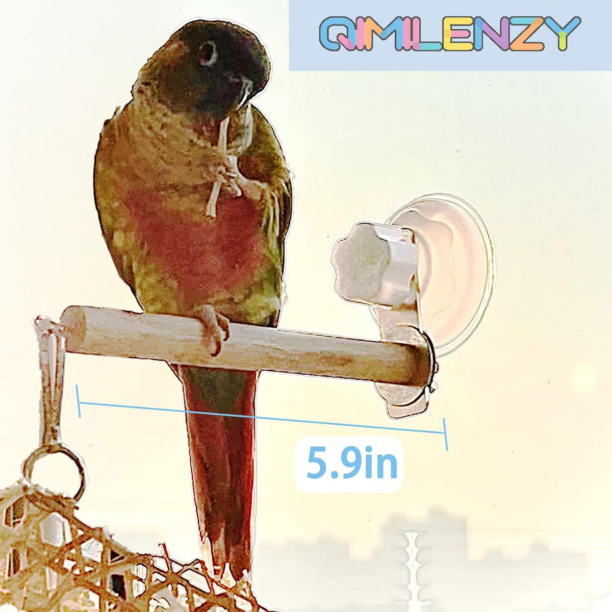 Bird Window/Bath/Car/Travel Perch Stand with Suction Cup for Small - image 2