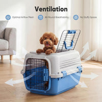DUMOS 23" Hard-Sided Pet Carrier for Small Pets - Modern Blue / 22.4"L x 14.6"W x 13.0"H - image 2