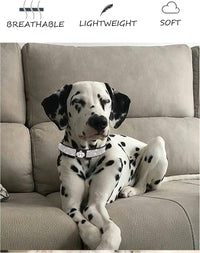 Dog Collar for Small Dogs - L / pink3 - image 4