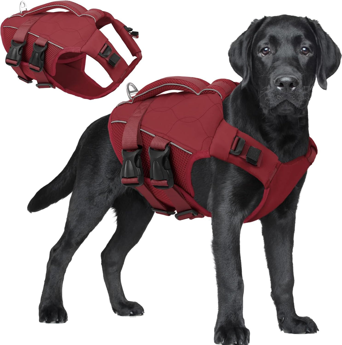 ASENKU Dog Life Jacket, High Floatation Dog Swimming Vest with Rescue Handles for Small Medium - Xx-large / Wine Red