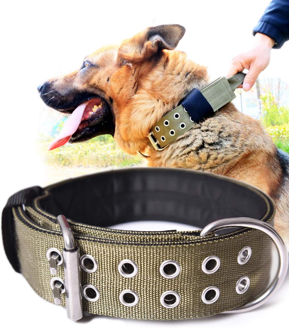 Dog Collar for Large Dogs, with Handle 2" Wide Heavy Duty - Green / L