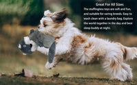 Jalousie 5 Pack Stuffingless Dog Squeaky Toys Dog Toy w/Durable Liner - 5 Pack - Color 1 - Crinkle Paper - image 2