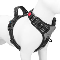 PHOEPET No Pull Dog Harness Medium Reflective Front Clip Vest - Large / Gray