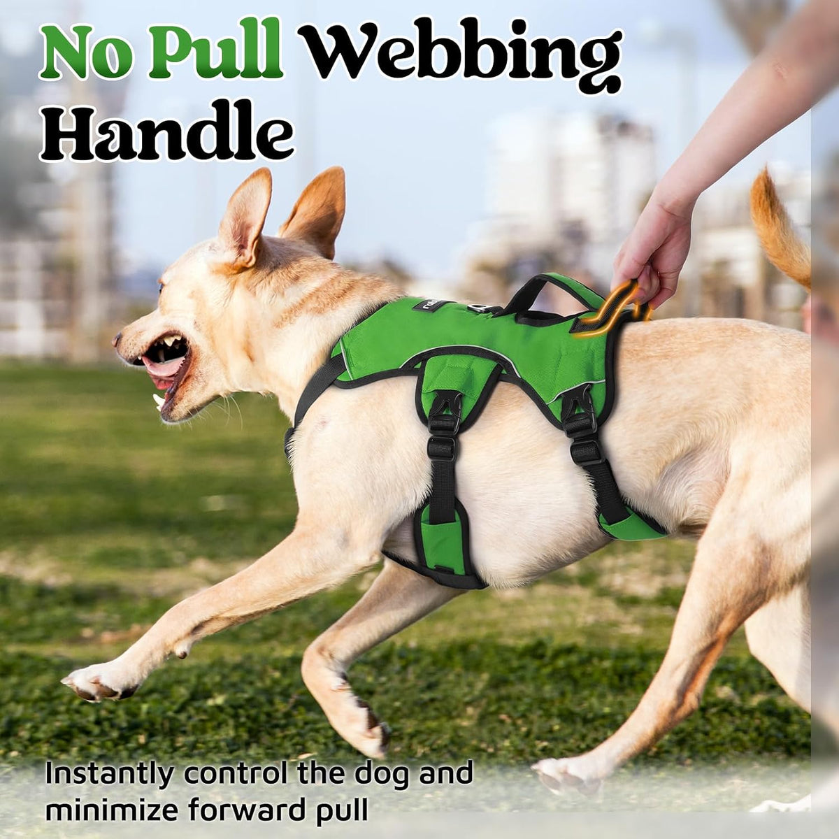 rabbitgoo Escape Proof Dog Harness for Large - Green / Large - image 4