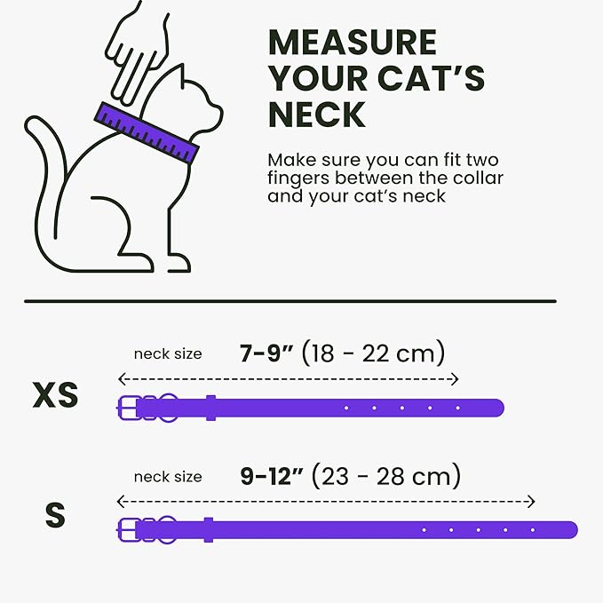 BRONZEDOG Leather Cat Collar with Removable Bells Non Breakaway Kitten QR Tag for Girl Boy (9" - 12" Cats/Mini Dogs, Purple & Gold)