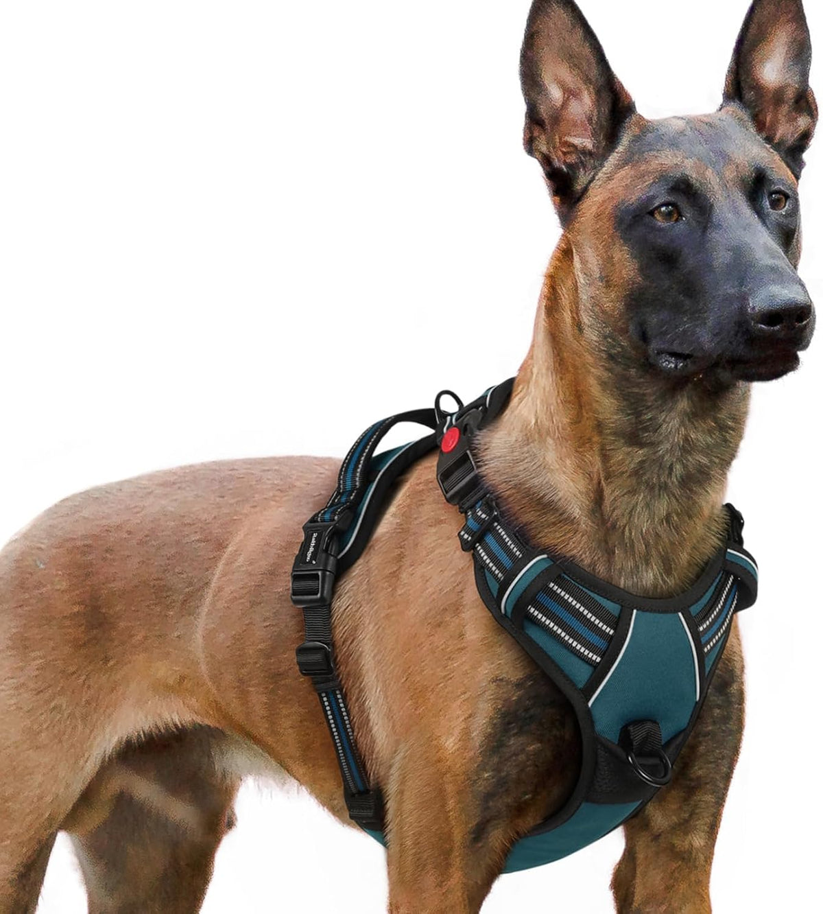 rabbitgoo Dog Harness for Large - Blue Coral / X-large