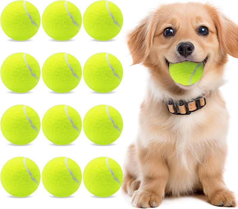 Magicorange Small Tennis Balls - Yellow / 12 Pack