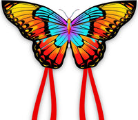 Xida Butterfly Kites for Kids and Adults Easy to Fly - Rainbow Butterfly