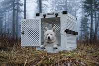 Impact Collapsible Dog Crate - Foldable Hard Crate for Extra Large Dogs - Heavy Duty Travel Kennel with Powder-Coated Aluminum - Quick Setup for Indoor & Outdoor (Gray, 40"+ (40.5" L x 27.5”W x 34" H)