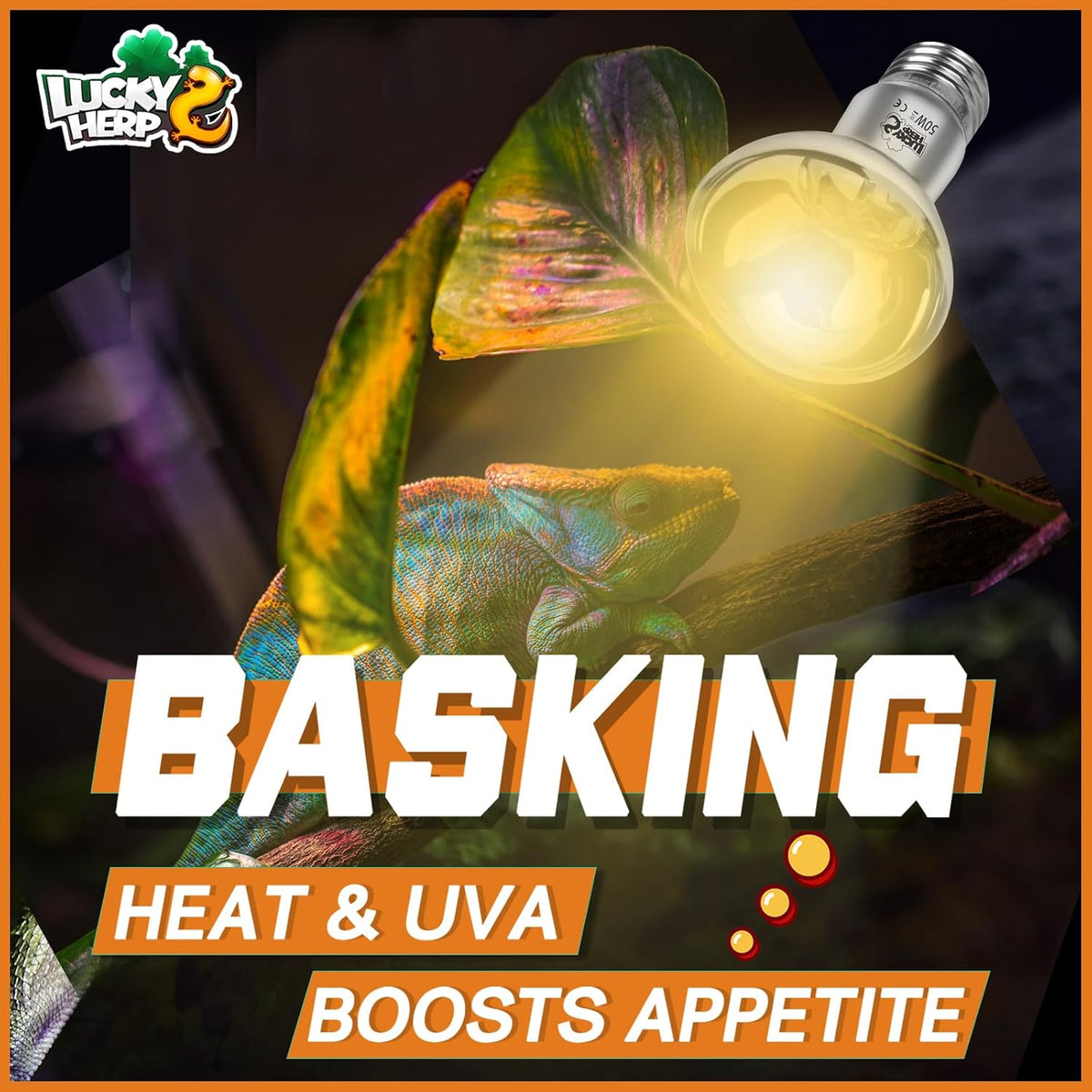 LUCKY HERP Heat Lamp Bulbs, 150W Reptile Heat Lamp 2 Pack - Clear Reptile Heat Lamp / 50W 1-Pack - image 3