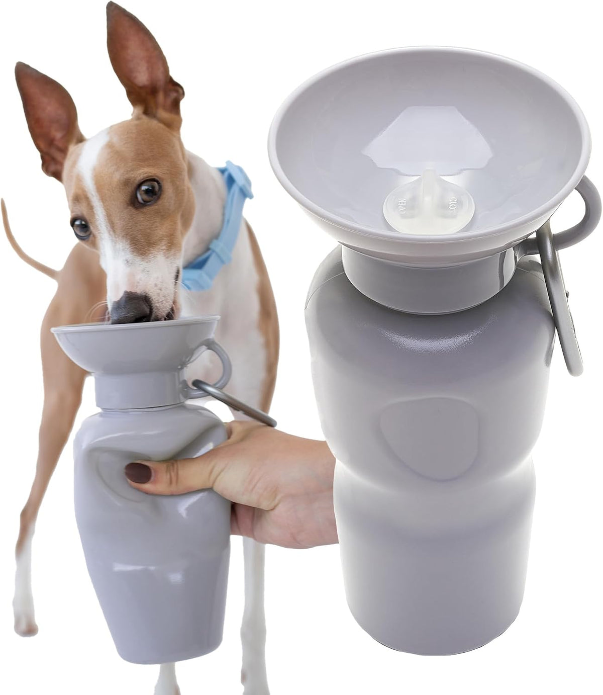Springland 22oz Classic Portable Dog Water Bottle with Built-in Bowl - Gray / 625 ml