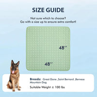 MICROCOSMOS Summer Cooling Mat & Sleeping Pad - 48" x 48" / Green - image 2