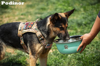 Large Dog Water Bowl 2 Pack, Aqua - Red - 2 Pack / 1.3 Gallons - XL (100lb + breed) - image 4