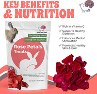 Snout and Shell Floral Favorites 4-in-1 Natural Treats for Small Pets – Pea Flakes, Marigold, Rose Petals & Hibiscus – Healthy Snacks for Rabbits, Guinea Pigs, Chinchillas & More