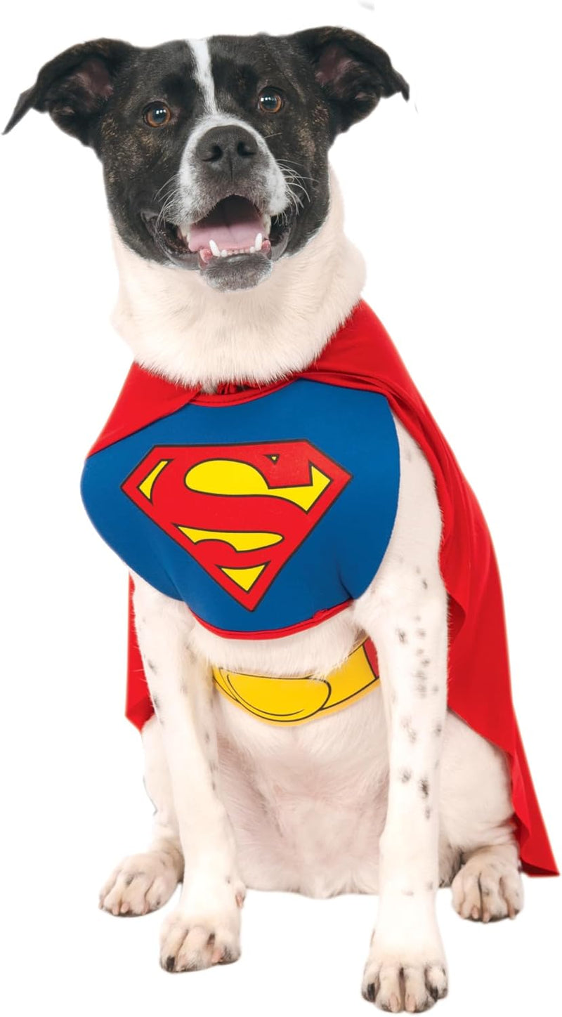 DC Comics Superheroes: Superman Pet Costume for For Dogs or Cats - Medium / 1